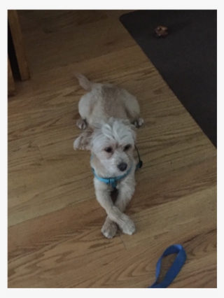 In My Spare Time, I Enjoy Yoga, Pickling, Travel, And