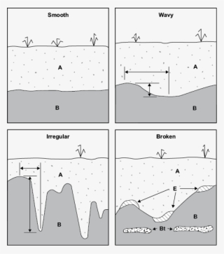 Examples Of Topography Classes For Horizon Boundaries