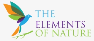 Logo Design By Design Cruiser For This Project