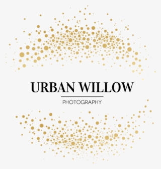 Packaging Logo For Urban Willow Photography