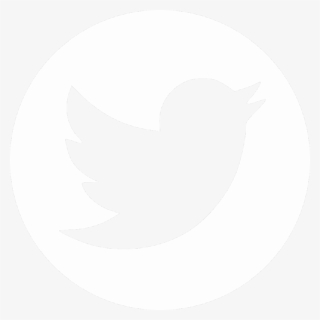 University Of Notre Dame Press