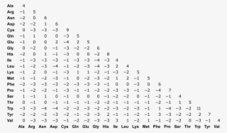 File - Blosum62