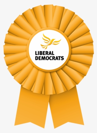Read The Liberal Democrat Party Easy Read Manifesto