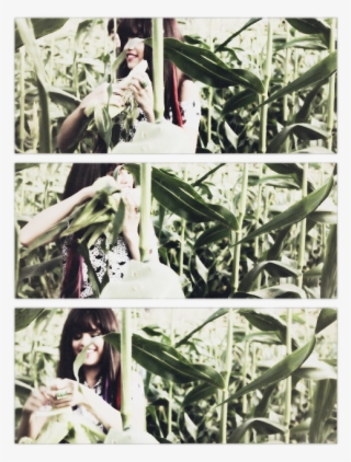 Http - //24 - Media - Tumblr - Com/ea321c370c25 O1