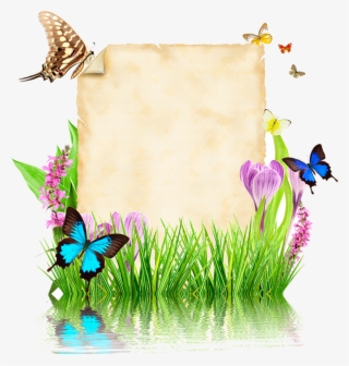 Parchemins Writing Paper, Vector Design, Photoshop