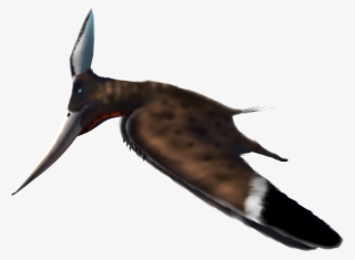 Pteranodon