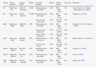 List Of Antibodies And Dilutions Used In The Immunohistochemistry