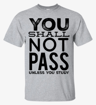 You Shall Not Pass Unless You Study T-shirt