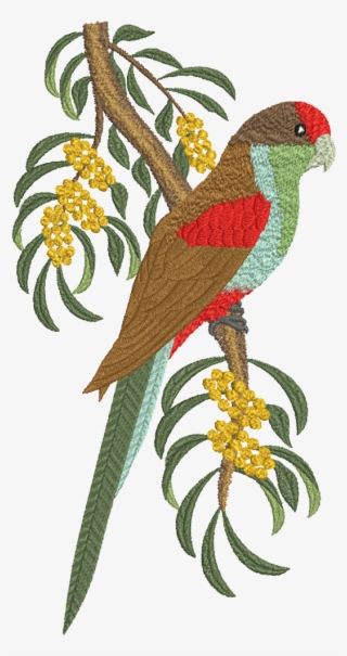 Picture Library Library Machine Embroidery Design