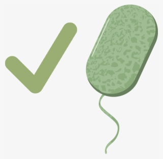 This Is An Example Picture Of A Cell
