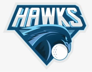 Team Hawks