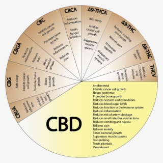 Marijuana