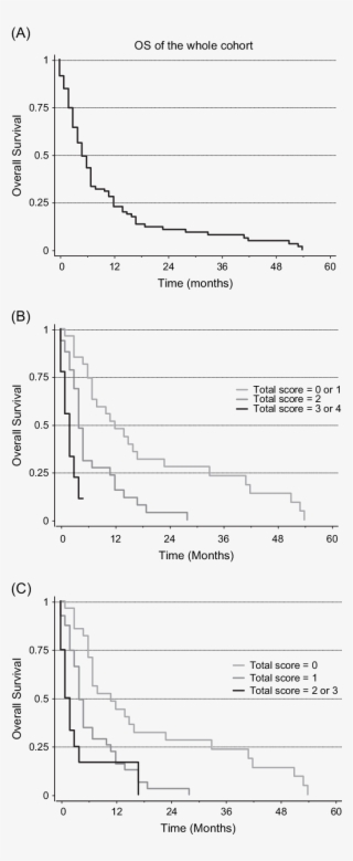 Overall Survival (os) And Prognostic Scores
