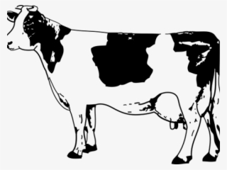 Ox Clipart Gir Cow
