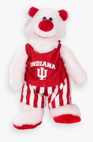 Iu Basketball Bear