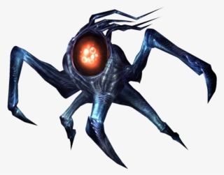 Species