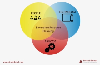 “why” And “when” To Sap Implementation In Your Organization