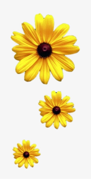 About 3600 Free Commercial & Noncommercial Clipart - Sunflower Vine Transparent Background