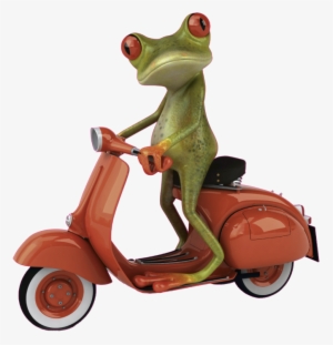 Wallpaper Backgrounds, Desktop Wallpapers, Vespa, Scooters, - Funny Pics Of Frog