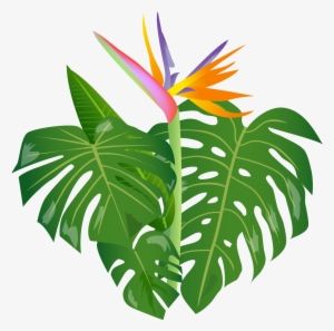Royalty Free Download Shrub Free On Dumielauxepices - Jungle Leaves Cartoon Png