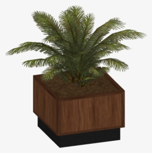 Potted Plant Wood 1 - Zt2 Potted Plants