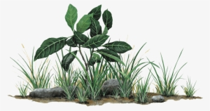 Related Search - Grass And Rocks Png