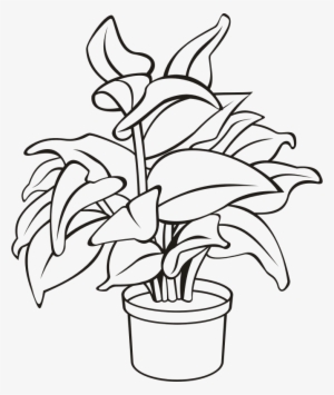 Medium Image - Potted Plant Clipart Black And White