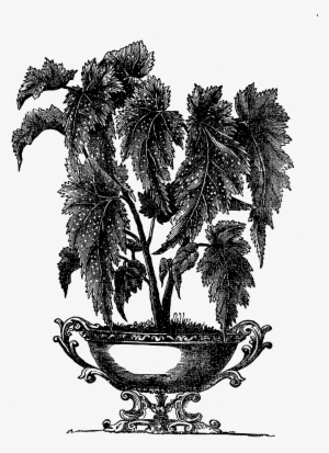 Digital Plant Clip Art - Victorian Indoor Plant Pot
