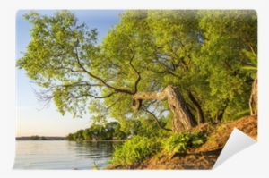 Landscape Of Picturesque Curve Of Green Tree Above - Landscape