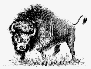 How To Set Use Buffalo Clipart