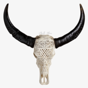 Buffalo Skulls - Skull