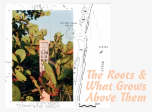 Roots - Portable Network Graphics