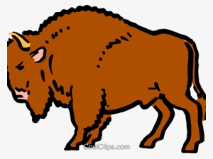 Buffalo Clipart Png - Dirty Buffalo