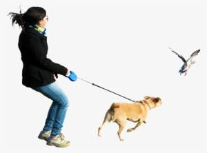 Dog Running At Birds Png Image - Person Walking Dog Png