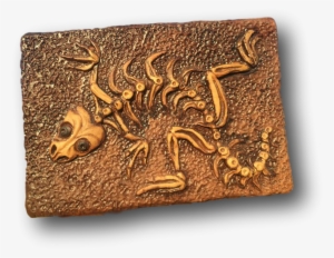 Lizza Dora Lizard Fossil - Child