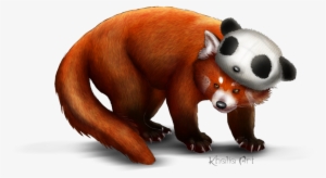 Red - Red Panda