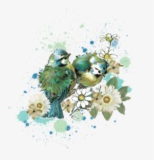 Фото, Автор Mashanbear На Яндекс - Love Bird Water Color