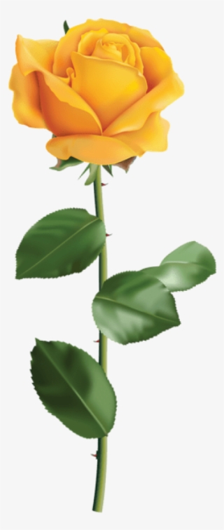 Yellow Rose Transparent Png Clip Art Image - Transparent Yellow Flower Png