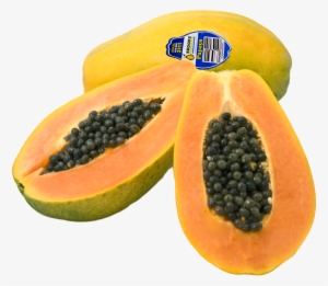Papaya Drawing Fruit Name - Frutas Tropicales Brasil