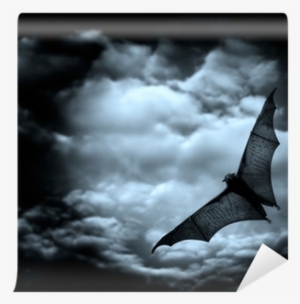 Bat Flying In The Dark Cloudy Sky Wall Mural • Pixers® - Gothic Horror Themes