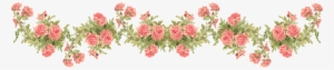 Catherine Klein Peach Roses Digital Elements - Rose Border Transparent Background