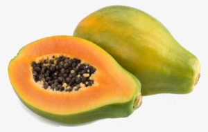 Notice - - Solo Papaya