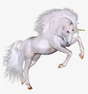 Unicorn Fantasy Tumblr Ftestickers
