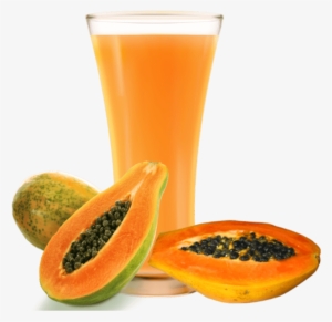 Papaya Juice - Hirt's Gardens Tainung Papaya Tree - Carica Papaya