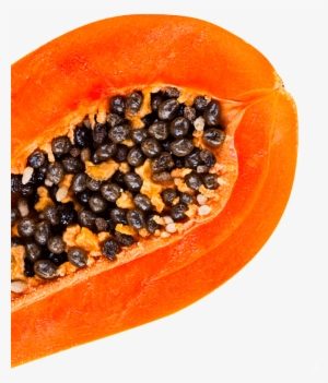 Papaya