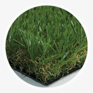 Eco Grass