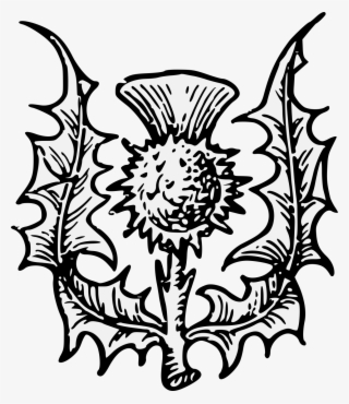 Details, Png