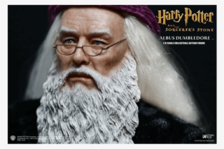 Albus Dumbledore 1/6 Scale Star Ace Toys Figure