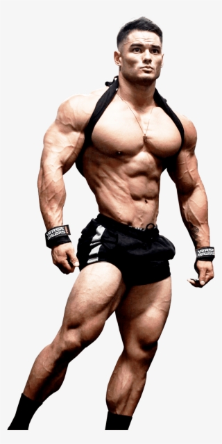 Legendary Legs The Most Complete Resource For Anyone