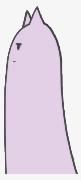 A Transparent Mildly Annoyed Cat